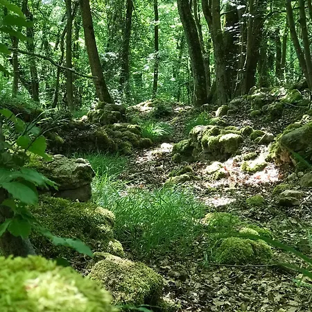 فيلة Ferienhaus Oak Tree Natur, Sauna & Whirlpool Nachtsheim